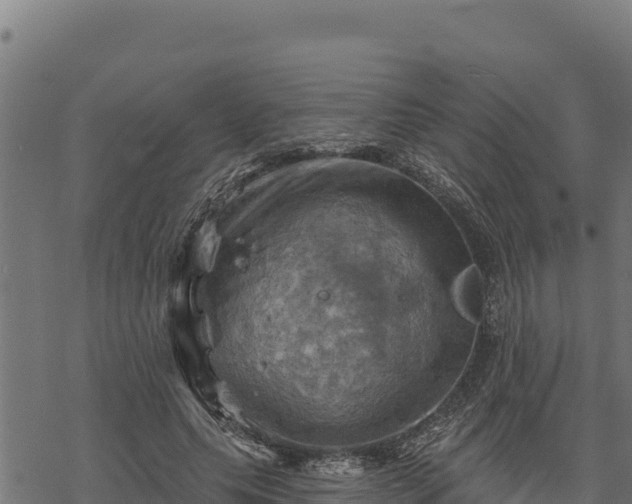 X0000068820639200605121317