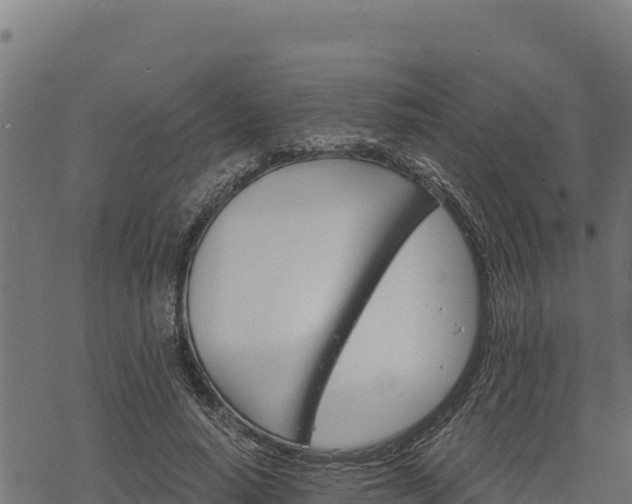 X0000068820640200605121317