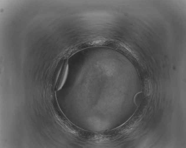 X0000068820641200605121317