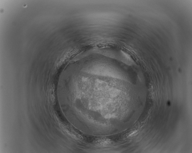 X0000068820642200605121317