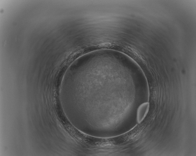 X0000068820643200605121317