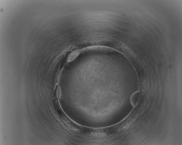 X0000068820644200605121317