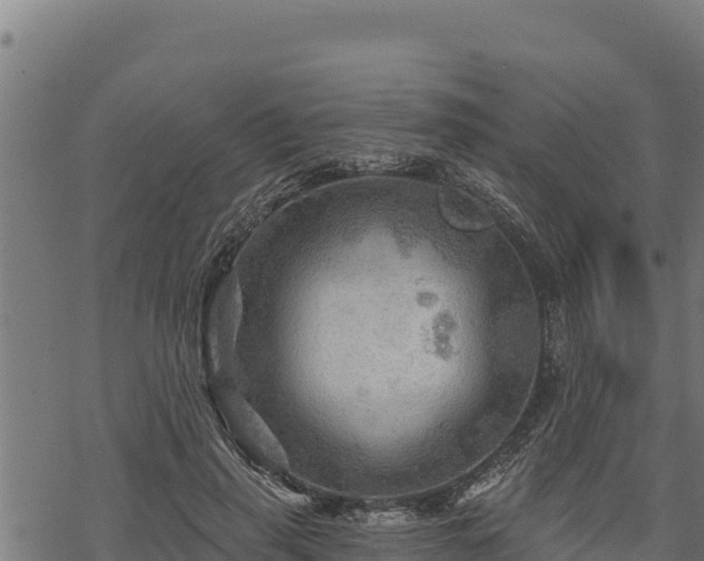 X0000068820645200605121317