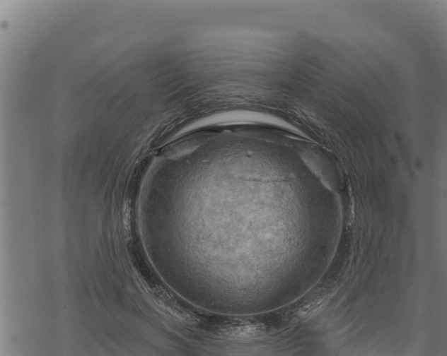 X0000068820646200605121317