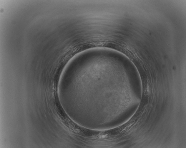 X0000068820647200605121317