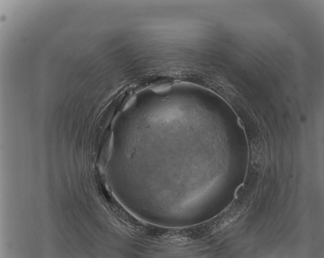 X0000068820648200605121317