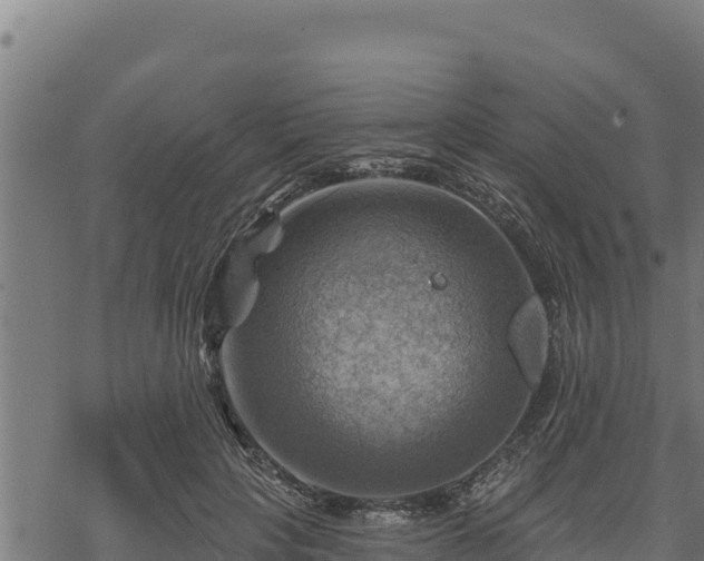 X0000068820649200605121317