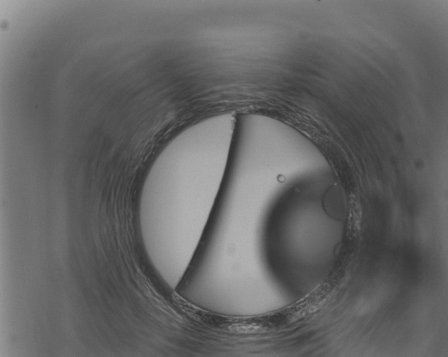 X0000068820650200605121317