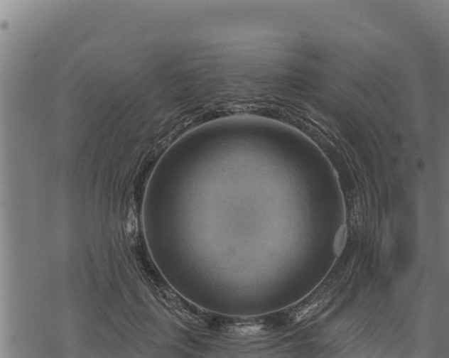 X0000068820651200605121317