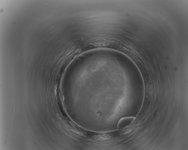 X0000068820652200605121317