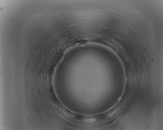 X0000068820653200605121317