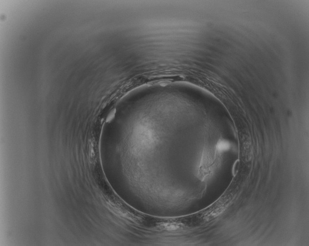 X0000068820654200605121317