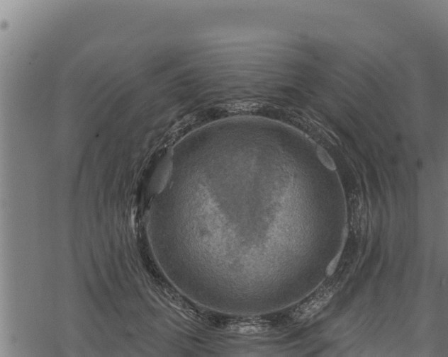 X0000068820655200605121317