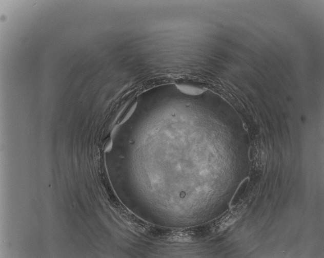 X0000068820656200605121317