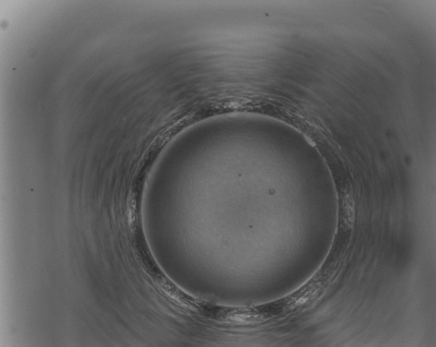 X0000068820657200605121317