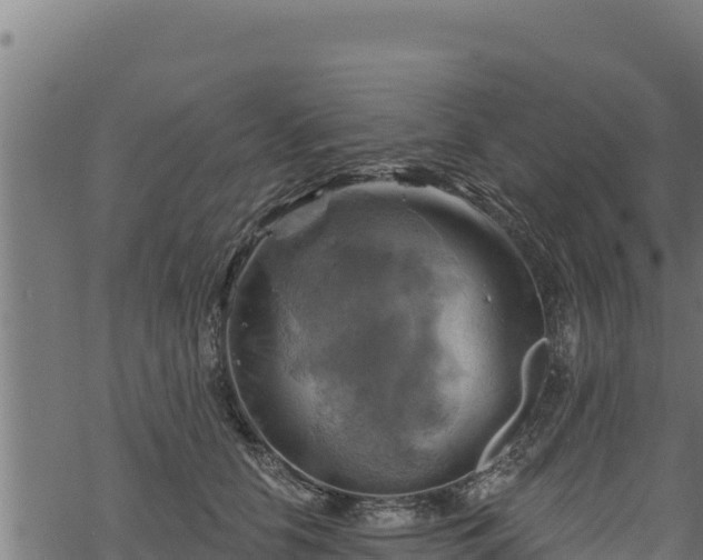 X0000068820658200605121317