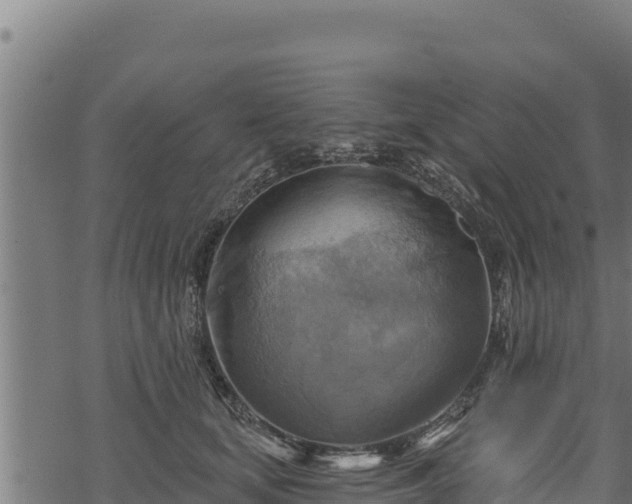 X0000068820659200605121317