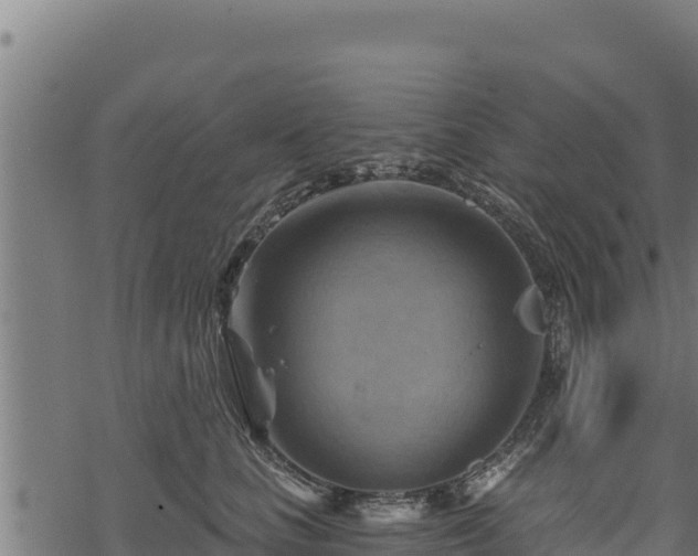 X0000068820661200605121317