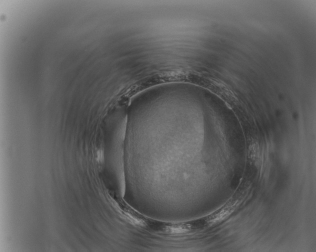 X0000068820662200605121317