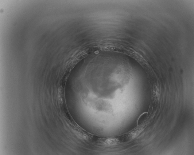 X0000068820663200605121317