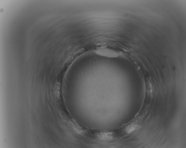 X0000068820664200605121317