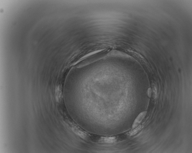 X0000068820665200605121317