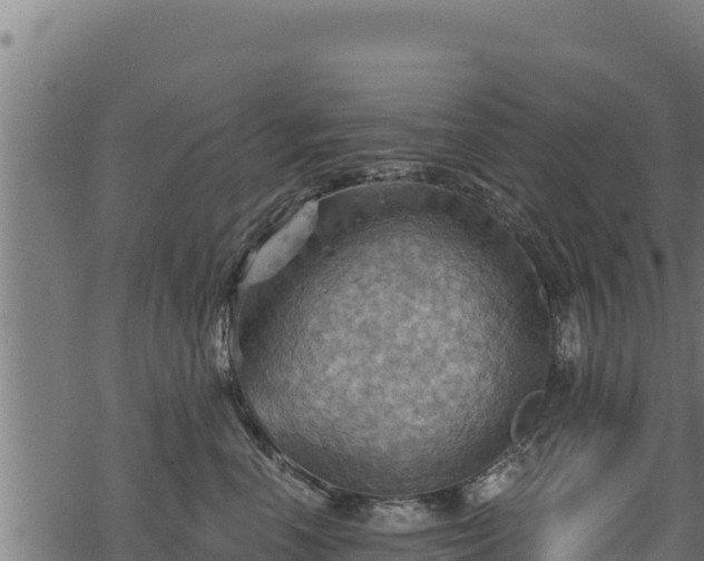 X0000068820666200605121317