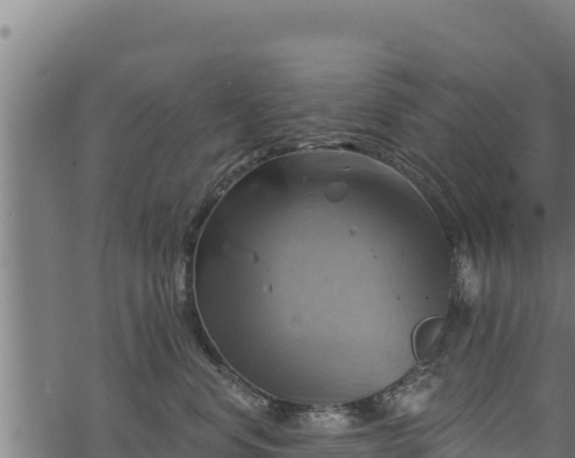 X0000068820668200605121317