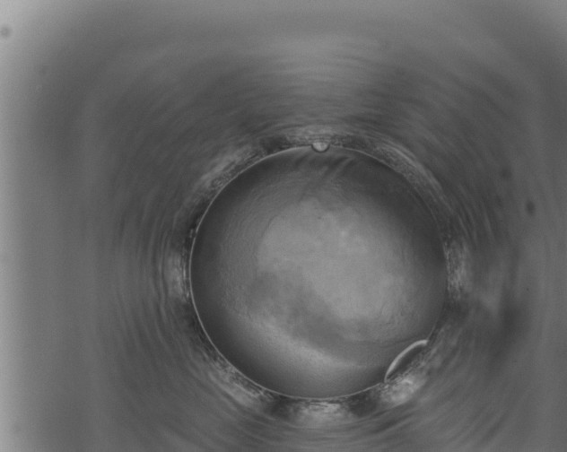 X0000068820669200605121317