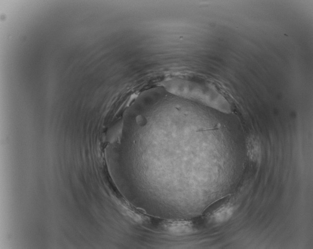 X0000068820670200605121317