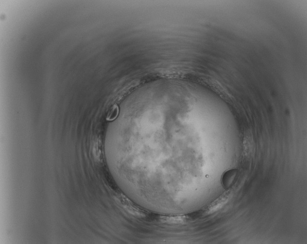 X0000068820671200605121317