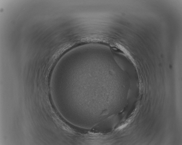 X0000068820673200605121316