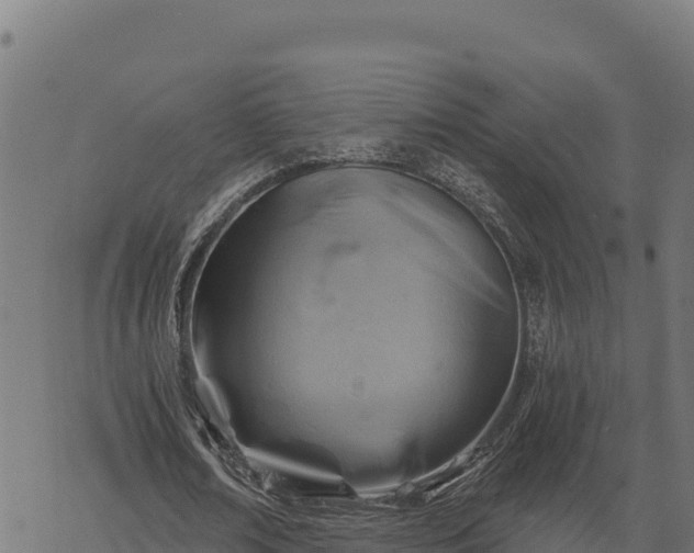 X0000068820674200605121316