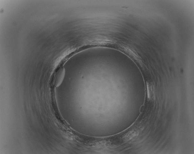 X0000068820675200605121316