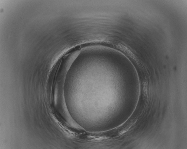 X0000068820676200605121316