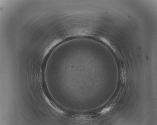 X0000068820677200605121316