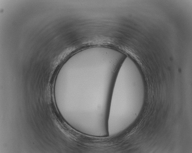 X0000068820678200605121316