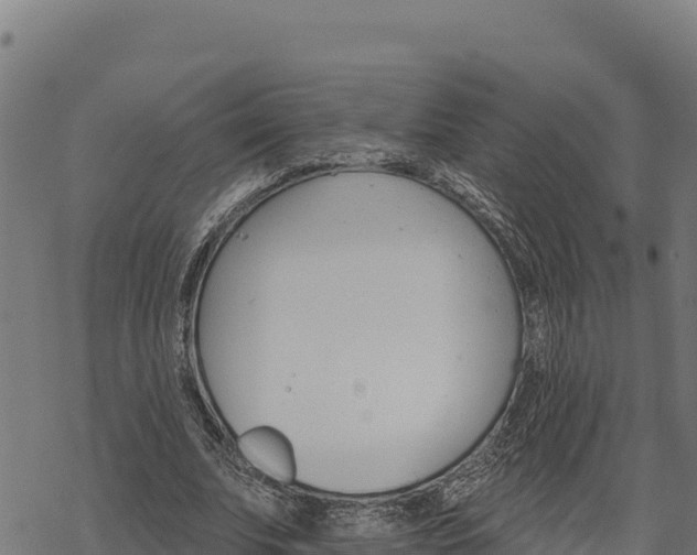 X0000068820679200605121316