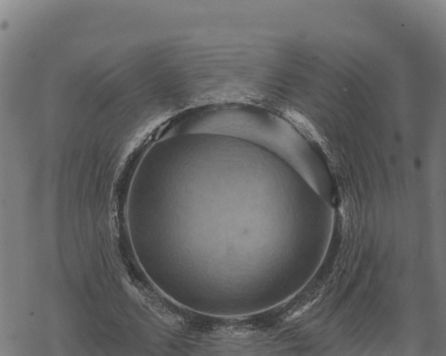 X0000068820680200605121316