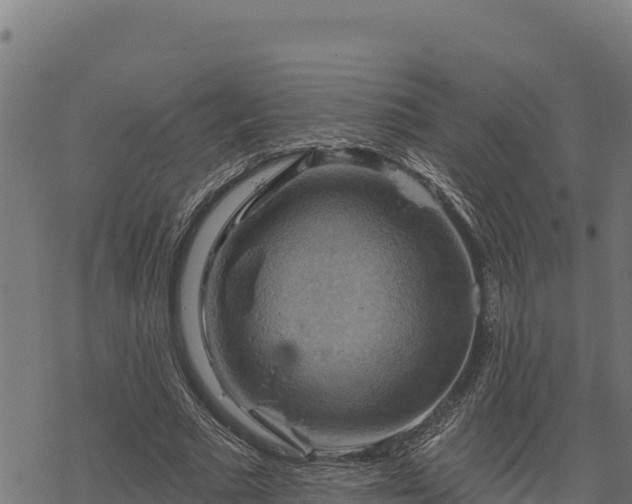 X0000068820681200605121316