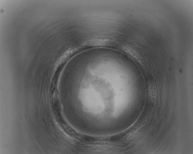 X0000068820682200605121316