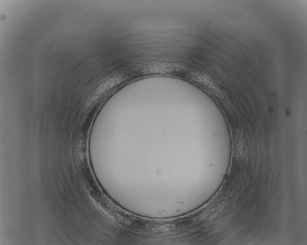 X0000068820683200605121316