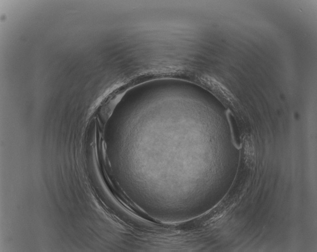 X0000068820684200605121316