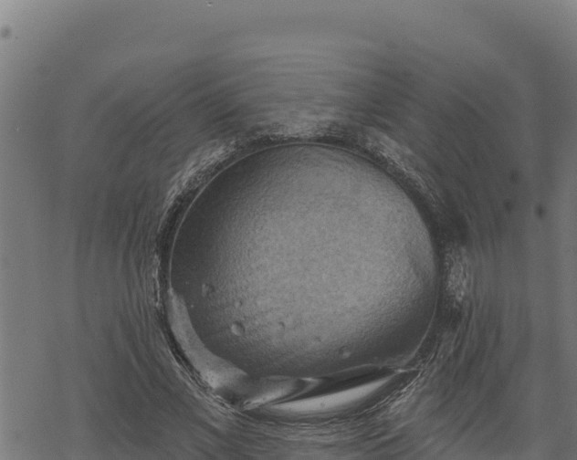 X0000068820685200605121316