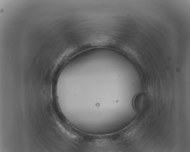 X0000068820686200605121316