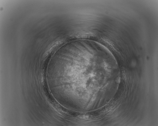 X0000068820687200605121316