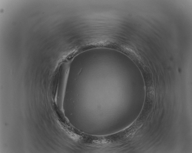 X0000068820688200605121316