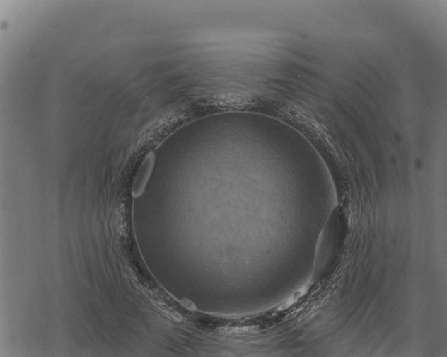 X0000068820689200605121316