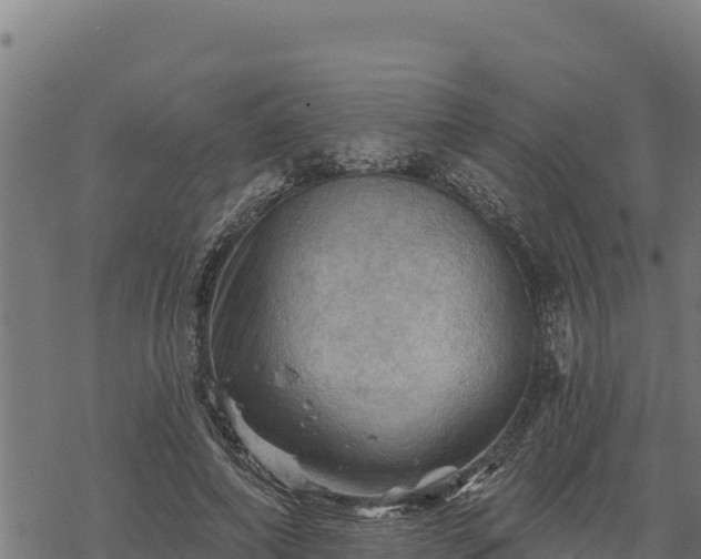 X0000068820690200605121316