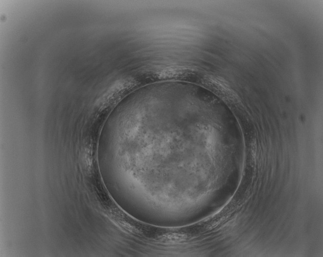 X0000068820691200605121316